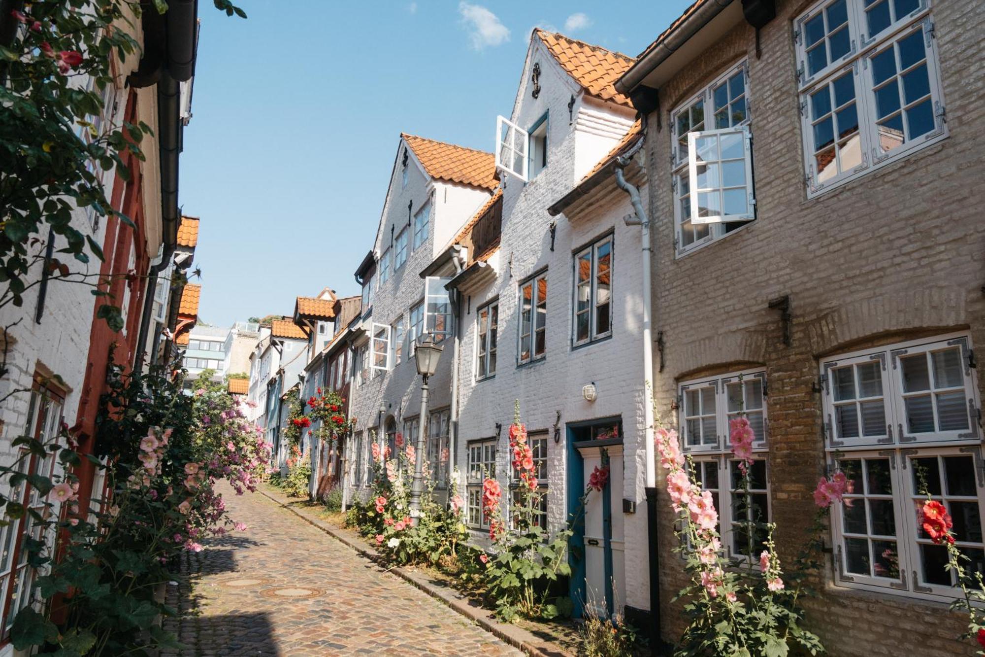 Grosses Apartment Mit 2 Balkonen Zentral Am Nordertor Flensburg Exteriör bild