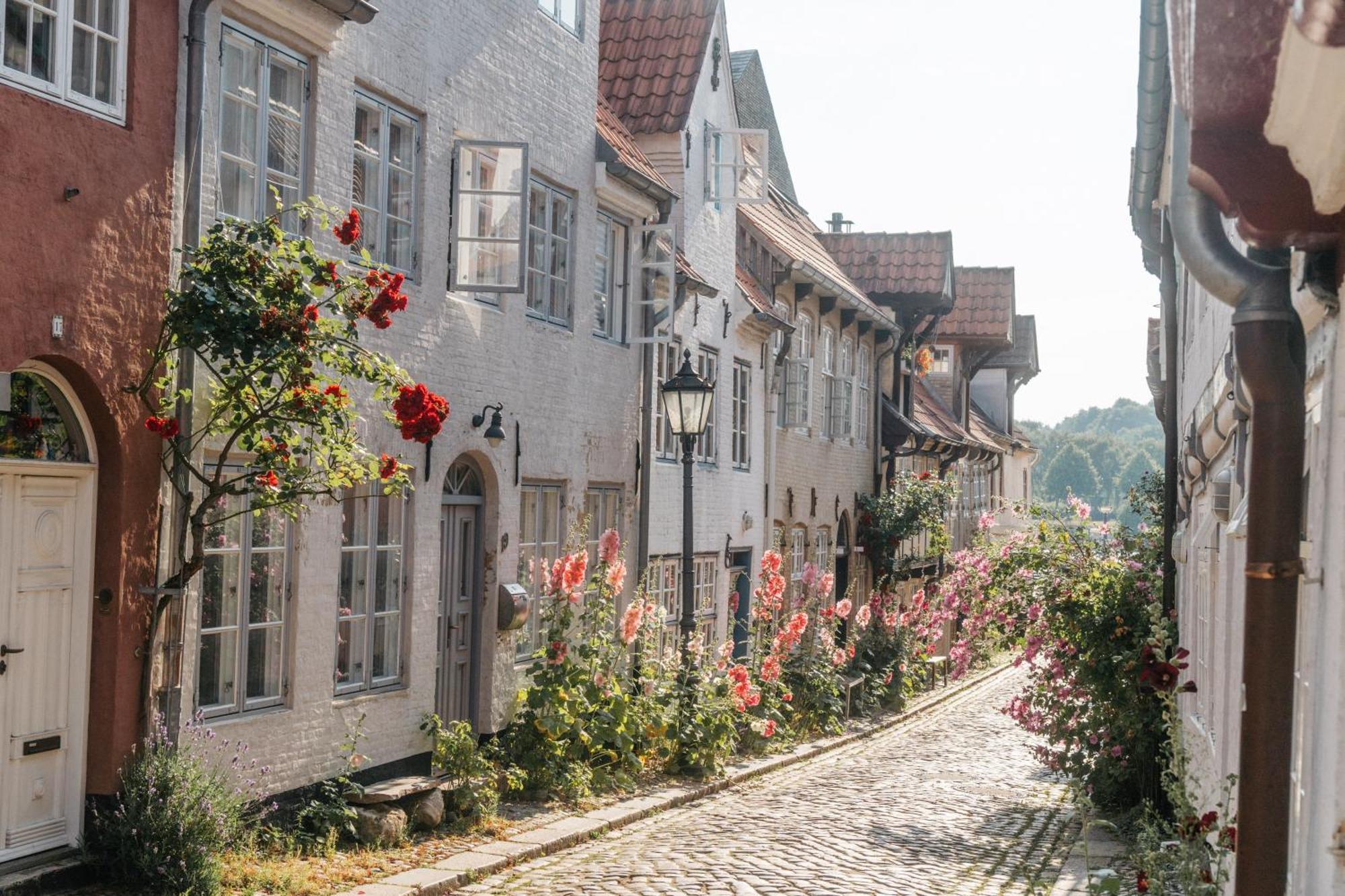 Grosses Apartment Mit 2 Balkonen Zentral Am Nordertor Flensburg Exteriör bild